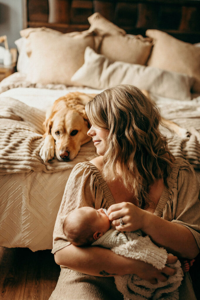 motherhood photographer in Allentown PA, with dog and baby in bedroom during newborn stages 